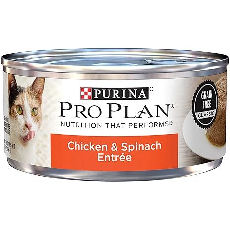 Purina Pro Plan Grain Free Pate Wet Cat Food, Complete Essentials Chicken and Spinach Entree Classic, Thanksgiving Day Promotions, (Pack of 24) 5.5 oz. Cans
