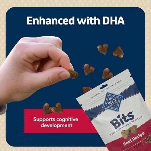 Blue Buffalo Bits Soft Dog Treats for Training, Natural Ingredients and Enhanced with DHA, Beef Recipe, 19 oz