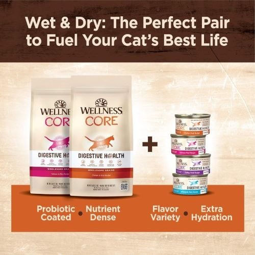 Wellness CORE+ Adult Dry Cat Food, Wholesome Grains, Natural, Digestive Health Chicken & Rice, 11 lbs