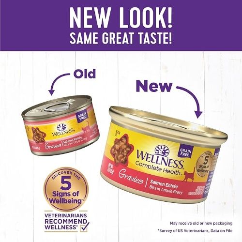 Wellness Complete Health Gravy Adult Wet Cat Food, Salmon Entree, Natural, Protein-Rich, Grain Free, 3 oz, 12 Pack