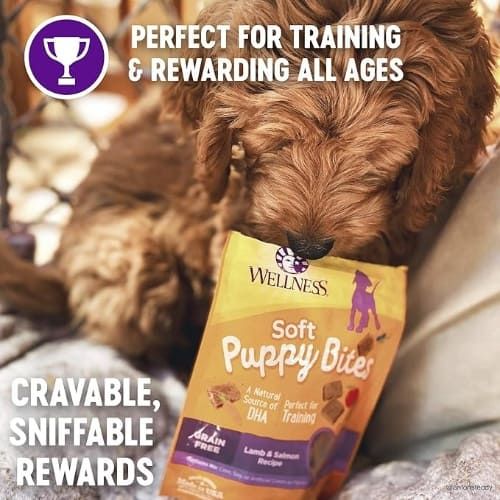 Wellness Puppy Treats, Natural, Training Treat, Grain Free, Soft Lamb & Salmon, 3 oz