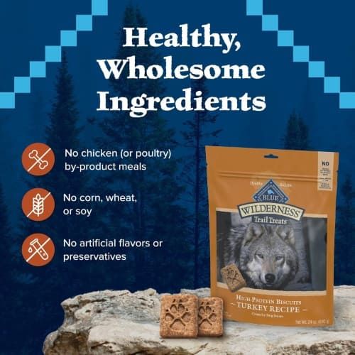 Blue Buffalo Wilderness Trail Treats High Protein Grain Free Dog Biscuits, Turkey Recipe, 24 oz Bag