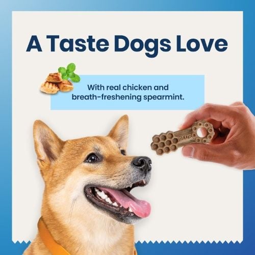 Blue Buffalo Dental Chews Large Natural Dog Treats, Chicken and Spearmint, 33 oz Bag