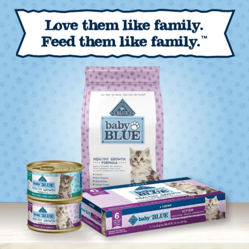 Blue Buffalo Baby BLUE Natural Food for Kittens, Healthy Growth Formula, Chicken & Brown Rice Recipe, 2 lb Bag