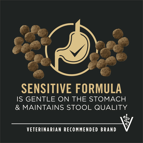 Purina Pro Plan Dry Puppy Food, Sensitive Skin & Stomach Large Breed Salmon & Rice Formula, 24 lb, Bag
