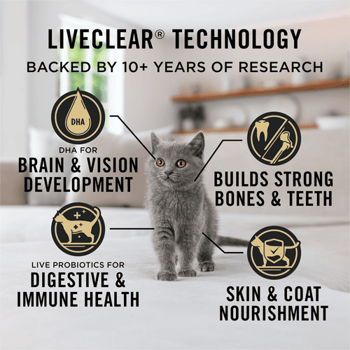 Purina Pro Plan Dry Cat Food, LiveClear Chicken & Rice Up to One Year Kitten Formula, 5.5 lb, Bag