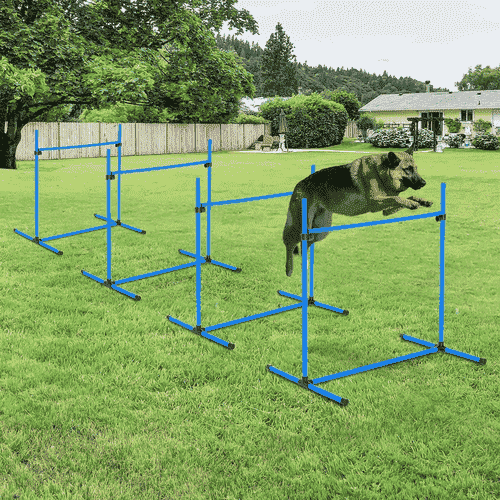 PawHut Dog Agility Starter Kit, 4 Pieces, Blue