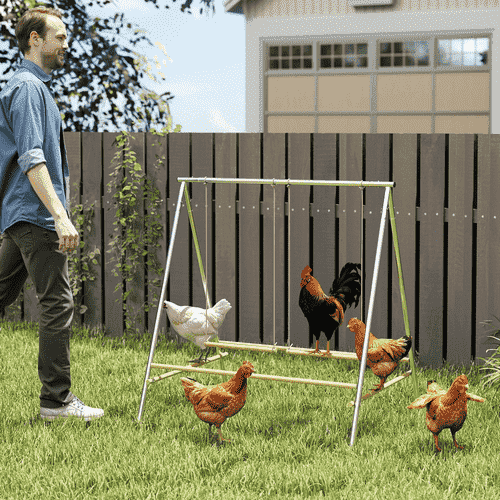 PawHut 40.2 x 34.3 x 43.3-in Silver Roosting Bars Chicken Perch with Coop Accessories and 2 Adjustable Swings