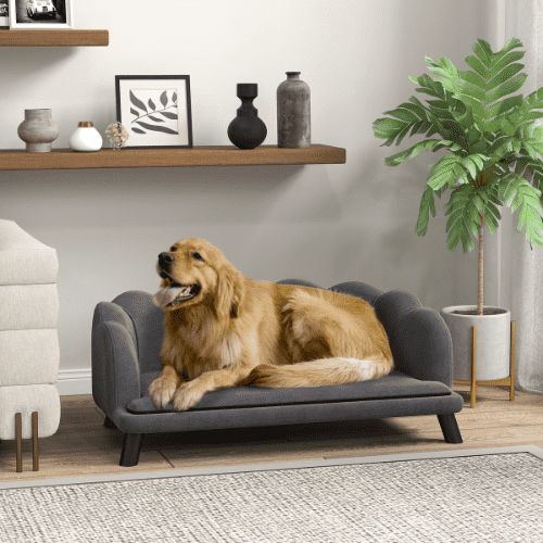 PawHut 38.75 x 23.75 x 14-in Gray Velvet Elevated Dog Couch Bed with Removable Cover