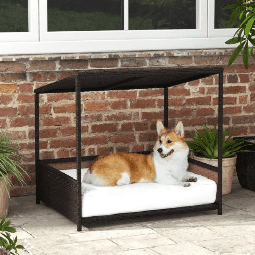 PawHut 33.5 x 27.25 x 33.5-in Wicker Rattan Covered Raised Medium Dog Bed, Brown and White