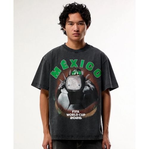FIFA World Cup Team Mexico Dog T-Shirt
