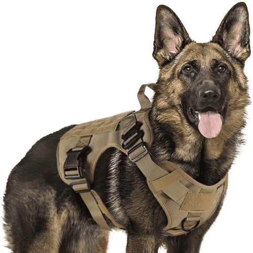 rabbitgoo Heavy Duty Military Tactical No Pull Dog Harness with Sturdy Metal Buckles, 5 Adjustments, Molle System, Powerful Pullers for Training, Hunting, Outdoor, X-Large, Brown